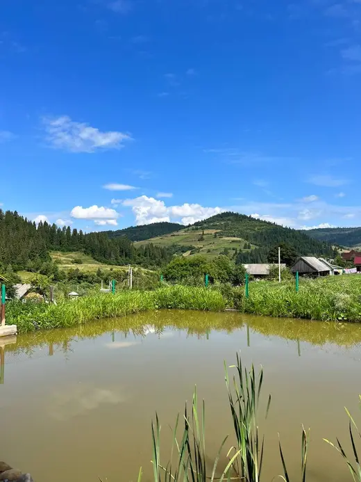 Риболовля