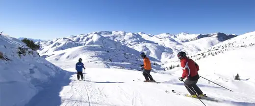 «Захар Беркут»